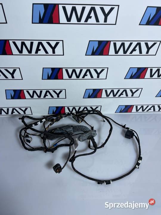 BMW F10 F11 WIĄZKA DRZWI LEWY PRAWY TYŁ HARMAN