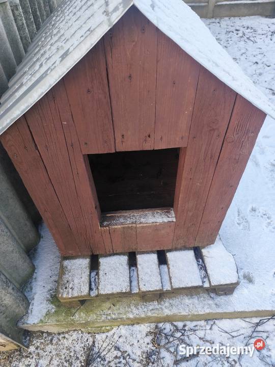 Buda psa duża Proszowice