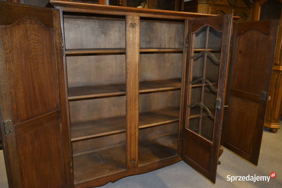 biblioteka witryna ludwikowska dąb Będzin