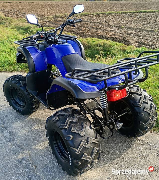 Quad 250 4 WSTECZNY nieuszkodzony Jasło sprzedam