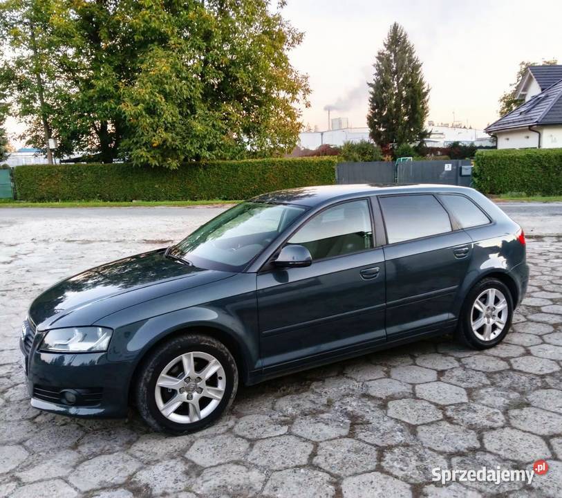 Ładne i zdrowe Audi A3 16 benzyna z gazem LPG kupiony w Polsce Domaradz