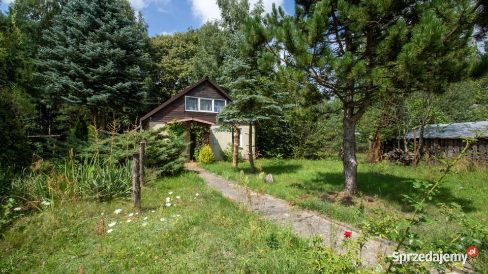 Lokal sprzedam Borysówka