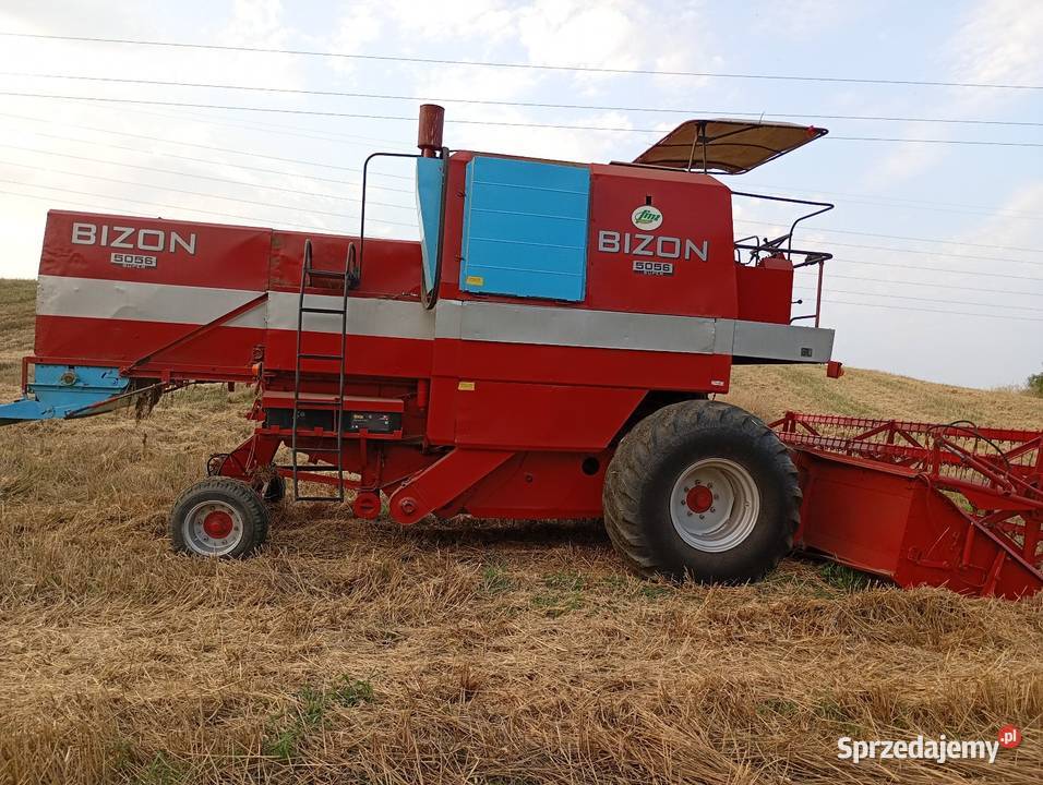 Bizon zo56 Rawa Mazowiecka