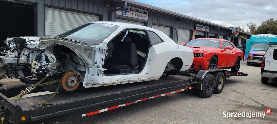 2019 dodge challenger czesci z USA Konin