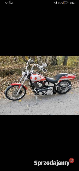 Harleydavidson softail custom nieuszkodzony podkarpackie Rakszawa