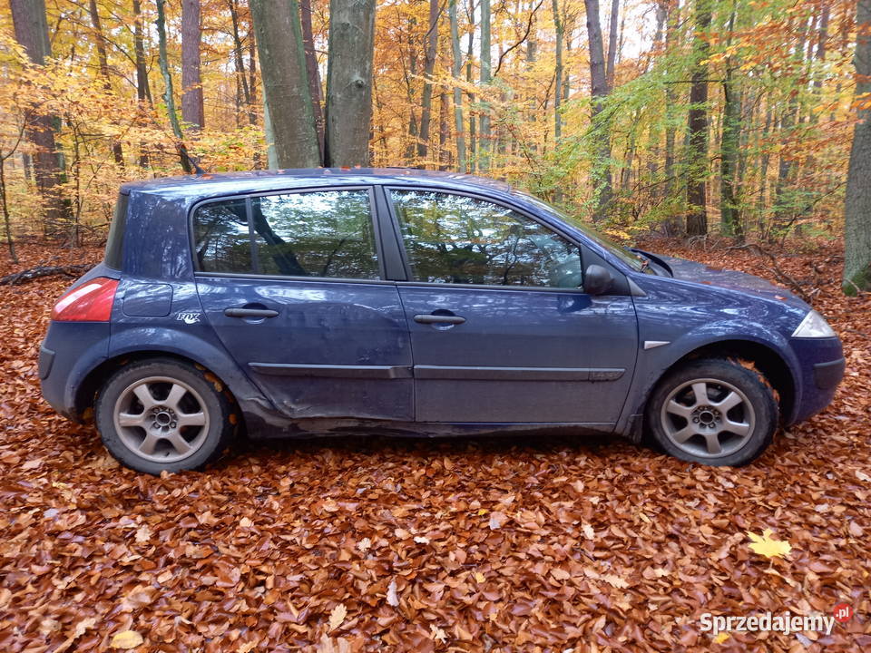 Renault Megane 2 14 16v 2003 PT OC bezproblemowe Susz