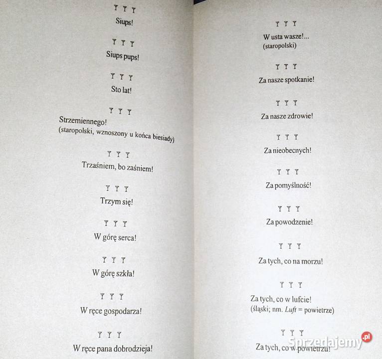 Toasty i pieśni biesiadne Adam Podgórski B Chełm