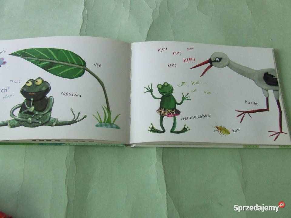 Opowieści o małych zwierzątkach Bee mee i Oborniki Śląskie