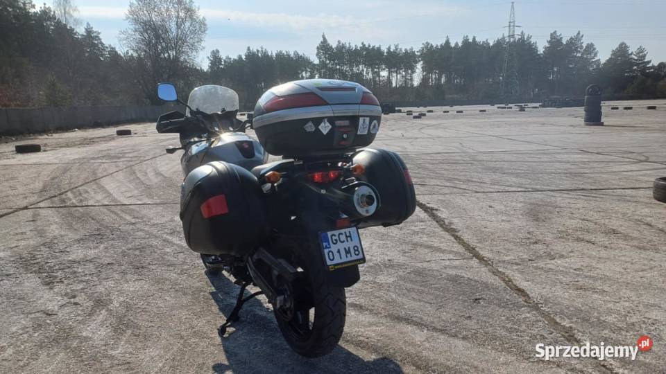 Suzuki vstrom 650 Zalesie