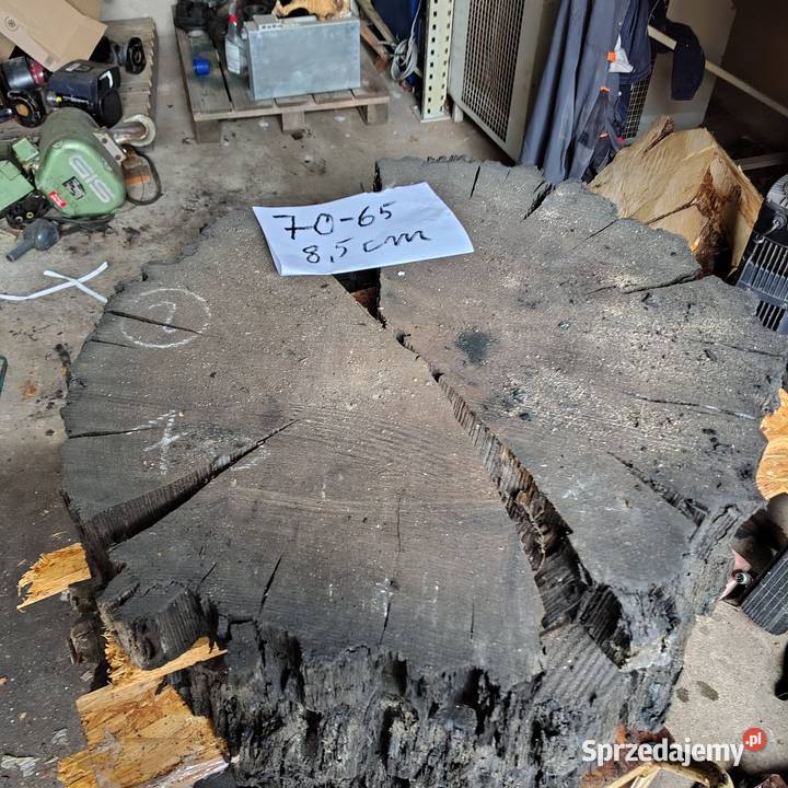 Plaster Czarny Dąb Nowy Tomyśl