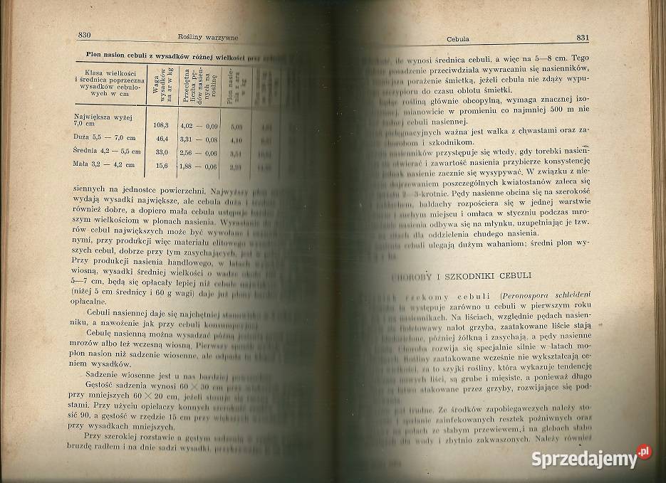 Szczegółowa uprawa roślin A Listowski 1951 Łódź sprzedam