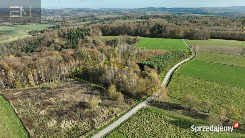 sprzedaży gruntu Niewodna 4500m2