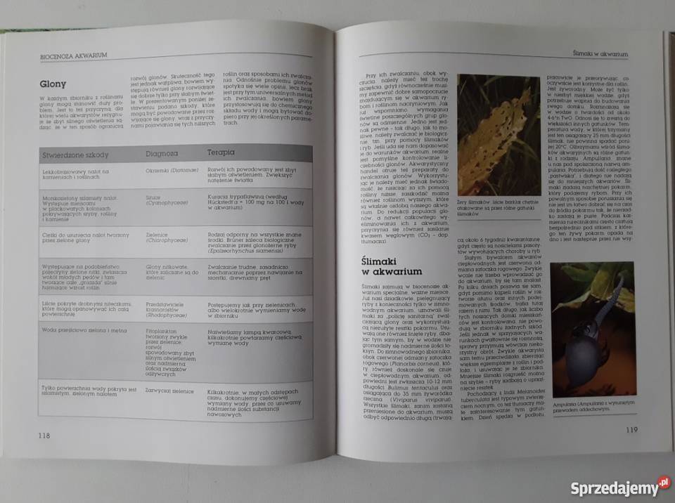 MOJE AKWARIUM Hans J Mayland zwierzęta domowe i hodowlane Gorzów Wielkopolski