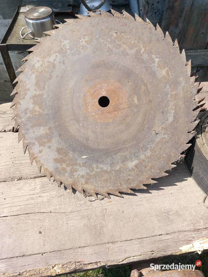 Piła stołowa Skórcz