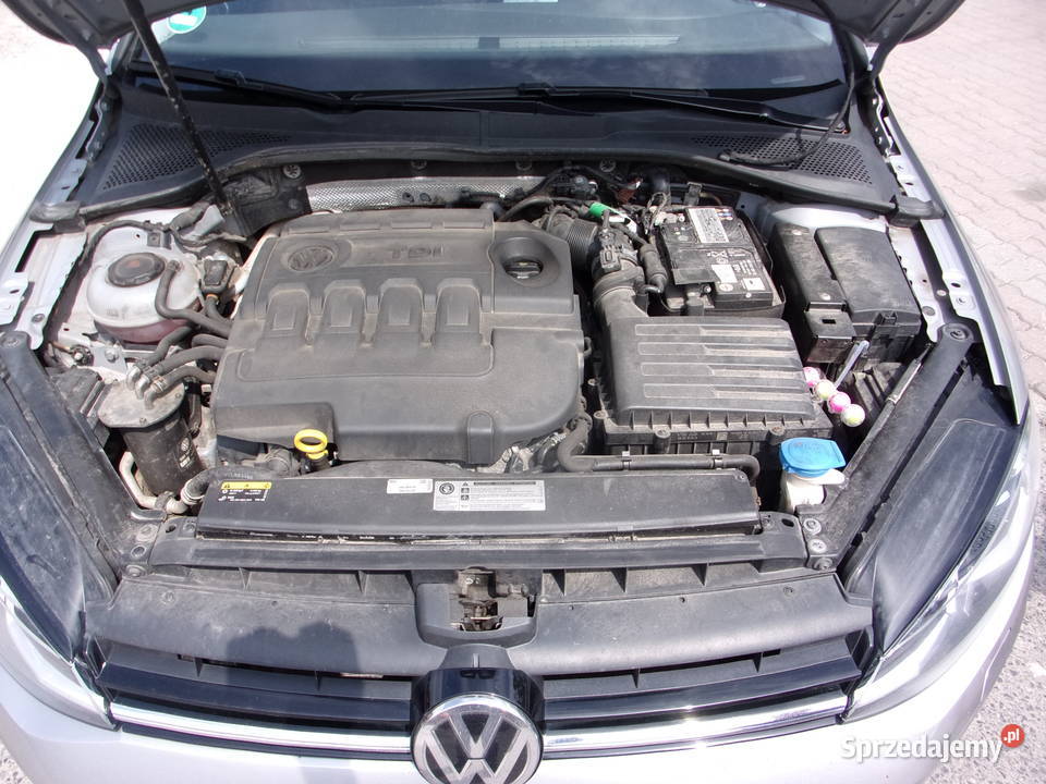 Samochód osobowy Volkswagen GOLF VII Kombi w srebrny Opoczno