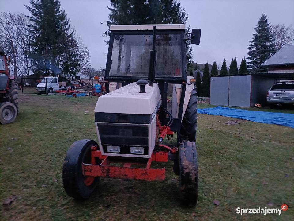 Case David Brown 1290 58 David Brown Krzczonów Trzeci