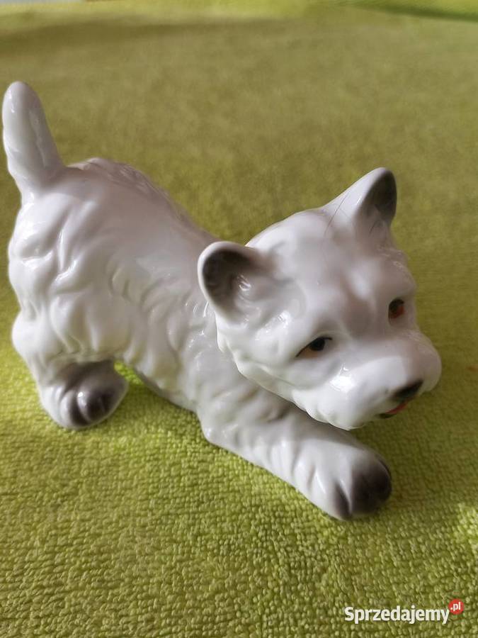 Figurka porcelanowa piesek Westie Figurki Toruń