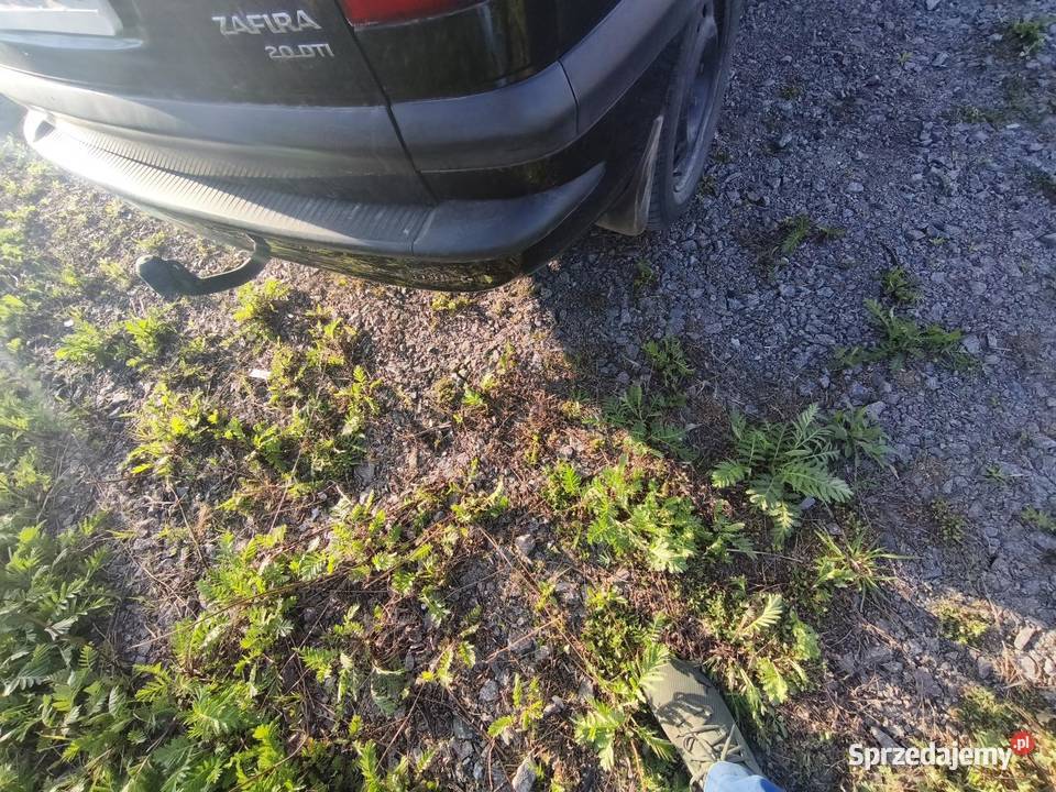 Opel Zafira 20 dti Chełm sprzedam