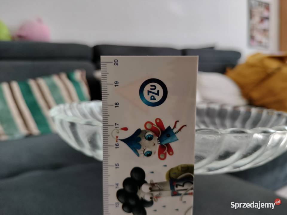 Patera na owoce spirelli Ząbkowice zachodniopomorskie Choszczno