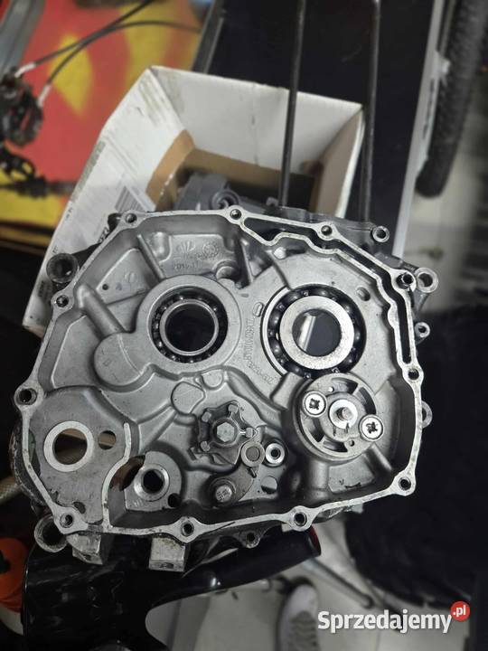 Silnik 167fmm Xmotos 250 Teklinów