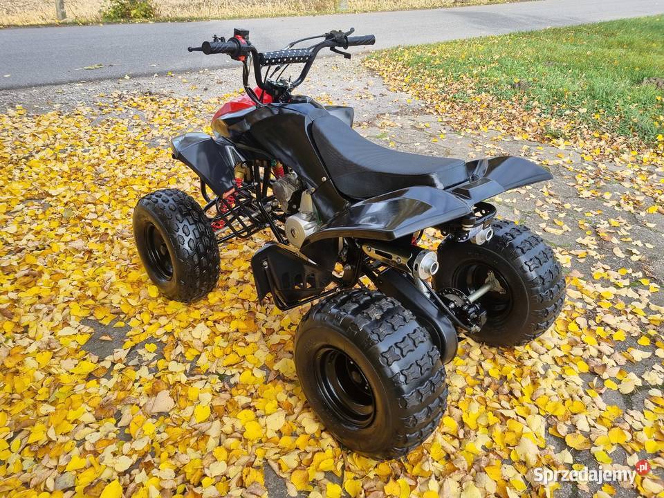 Quad Jumper 125cc Duża Rama 11r koła 8 Stan Nowy Kruszwica