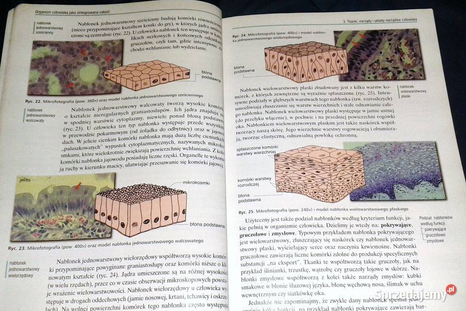 Biologia 1 Podręcznik Waldemar Lewiński Jan Chełm
