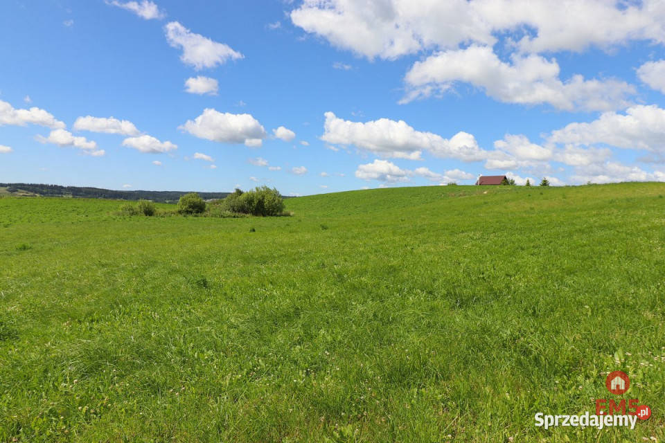 Grunt Olszanka 3003 metry