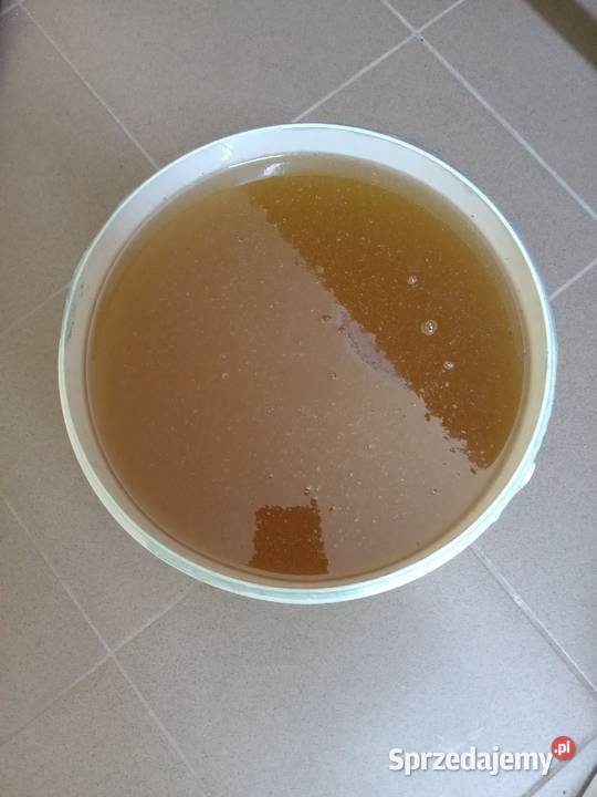 Miód wielokwiatowy polski naturalny Wyrzysk