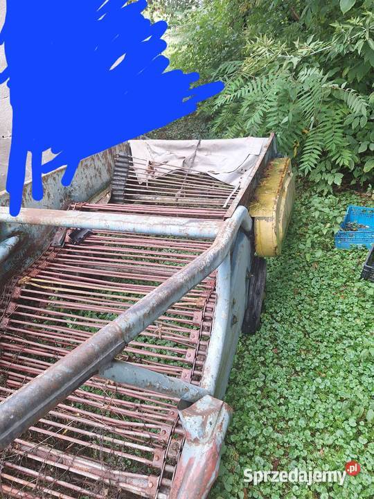 Sprzedam kopacze elewatorową Kopaczki Kraków