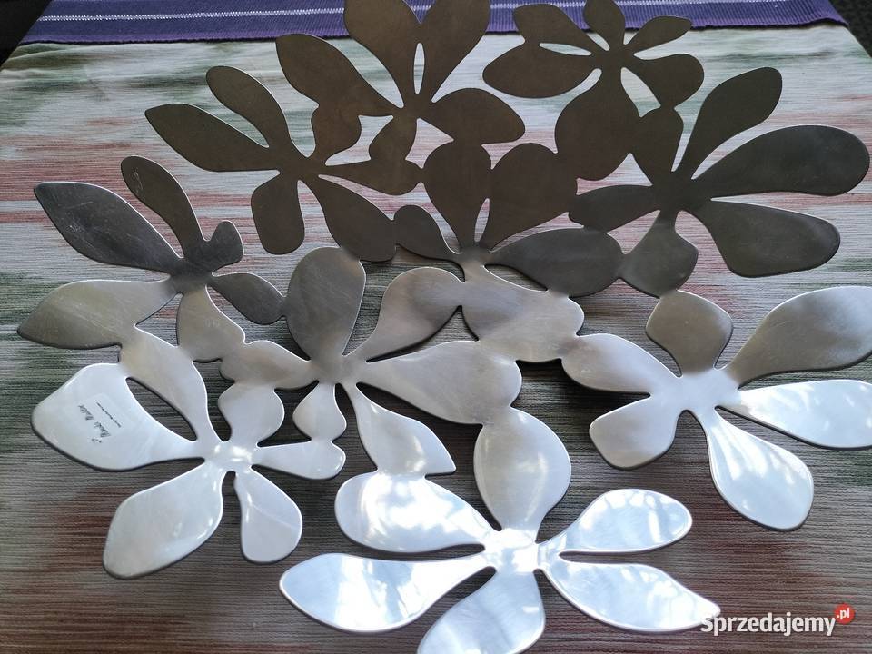 Patera na owoce stał nierdzewna Kraczewice Prywatne