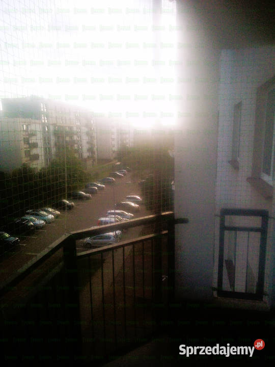 Siatka balkonowa kota Warszawa Montaż Siatki Na Pozostałe mazowieckie usługa dla zwierząt