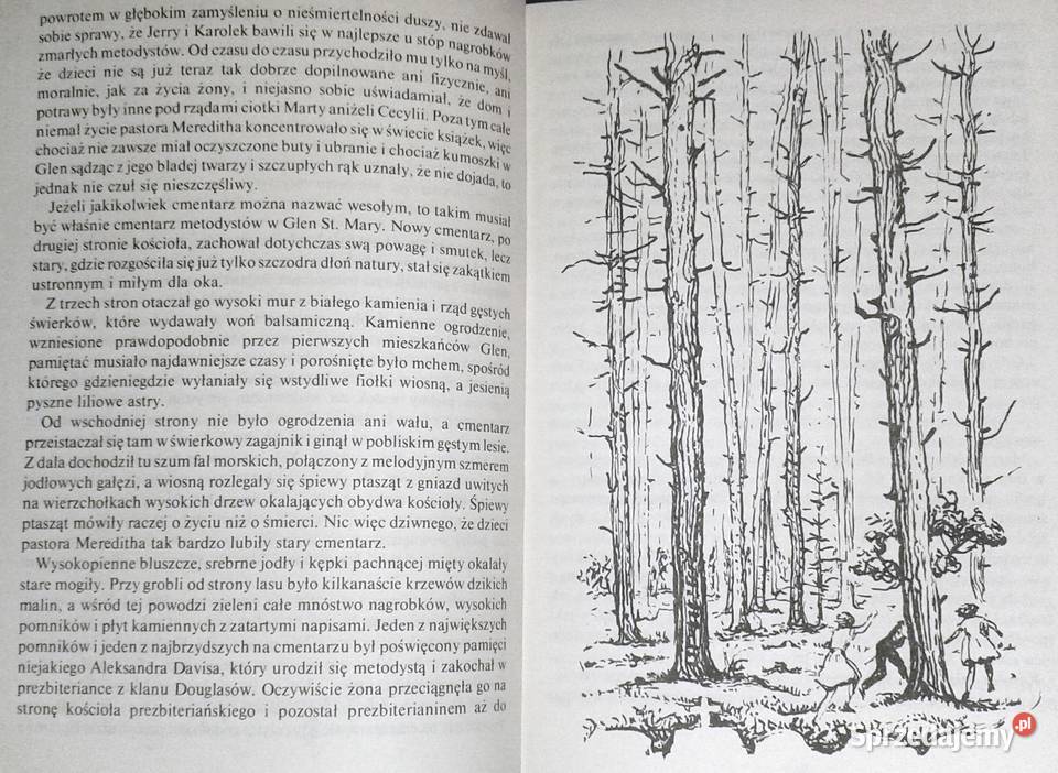 Dolina Tęczy Lucy Maud Montgomery Pozostałe lubelskie