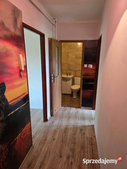 Lolal mieszkalny 3570 m2 Aleja Wolności 200 000 35.7m2 dolnośląskie