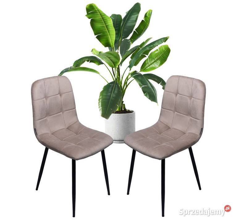 Zestaw 2 krzesło tapicerowane welurowe do salonu Poznań