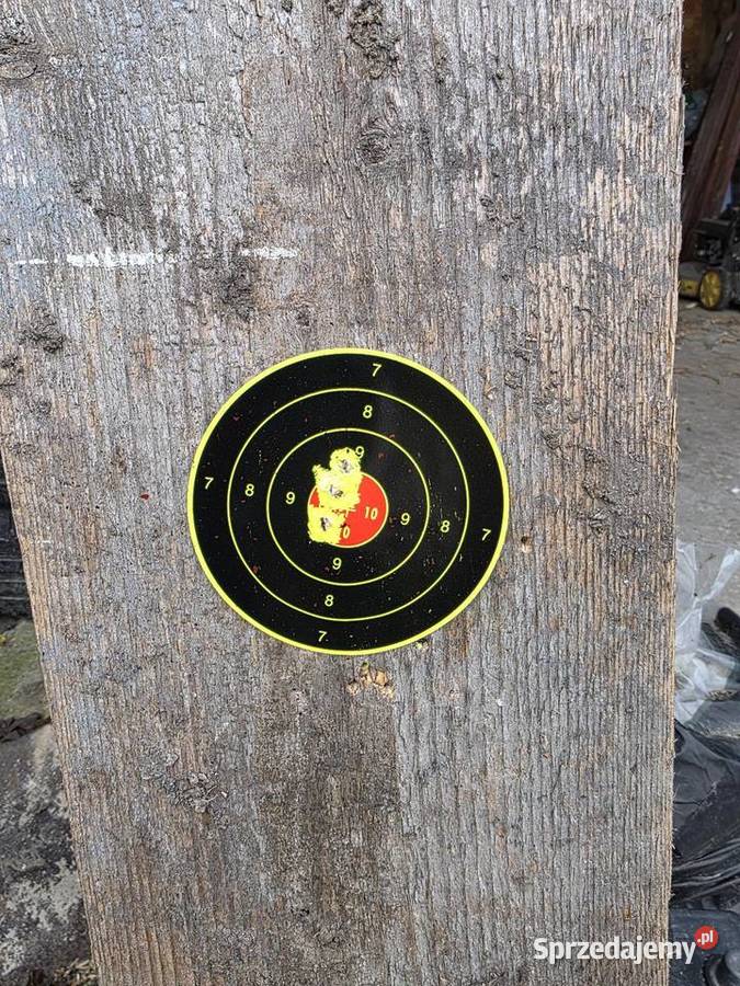 Reximex Lyra na gwarancji 55 Kostki Duże