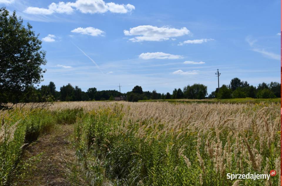 Działka rolna 43a Strażów