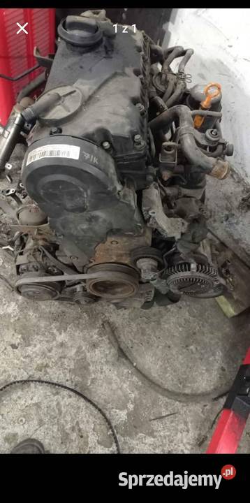 Silnik 19 tdi AVF Ciechocinek