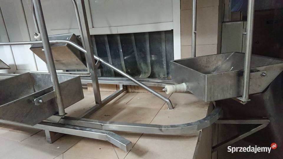 Linia do transportu jelit Produkcja Raków