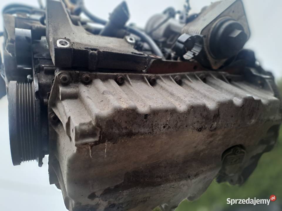 Audi Seat Skoda Volkswagen 20 TDi 8V 140 silnik Jastrzębie-Zdrój sprzedam