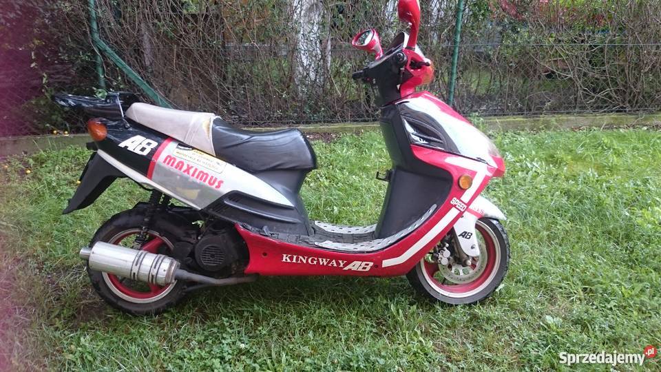 Kingway Maximus Piła