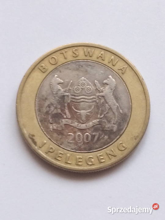 Moneta 5 Pula 2007r Dąbrowa Górnicza