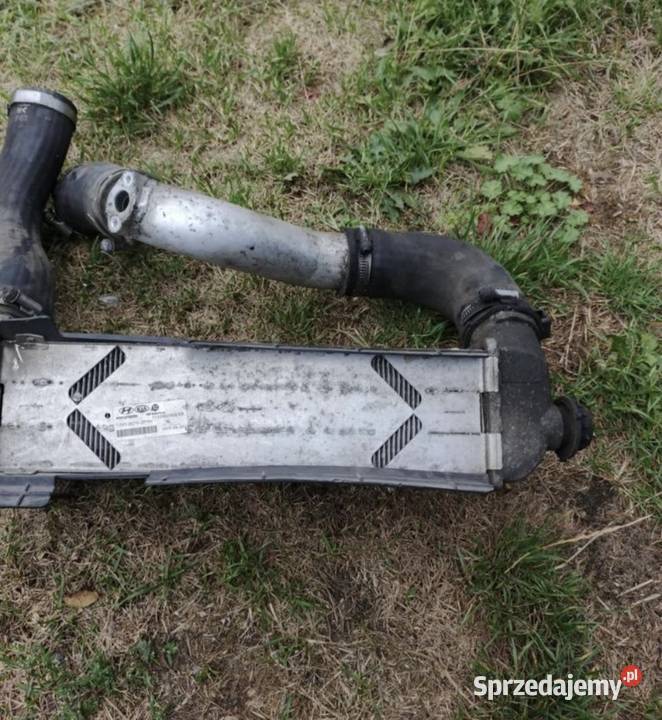 Intercooler przewód Kia Sportage III Hyundai osobowe Skarżysko-Kamienna sprzedam
