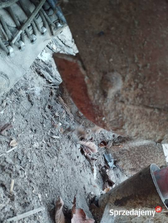 Siewnik Poznaniak 27m stan wielkopolskie Kalisz