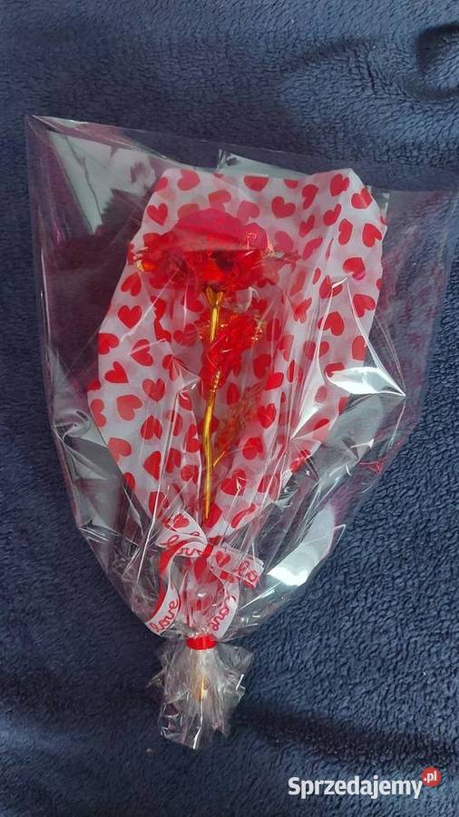 Róże na Walentynki śląskie Rybnik