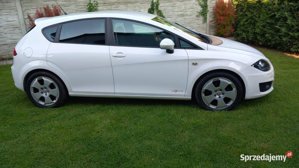 Seat Leon COPA NIE CUPRA 16 TDI Ładny Zadbany Rok produkcji 2012 Pszczyna