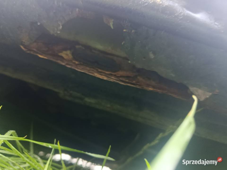 Volkswagen Golf plus benzyna Olszyna Dolna