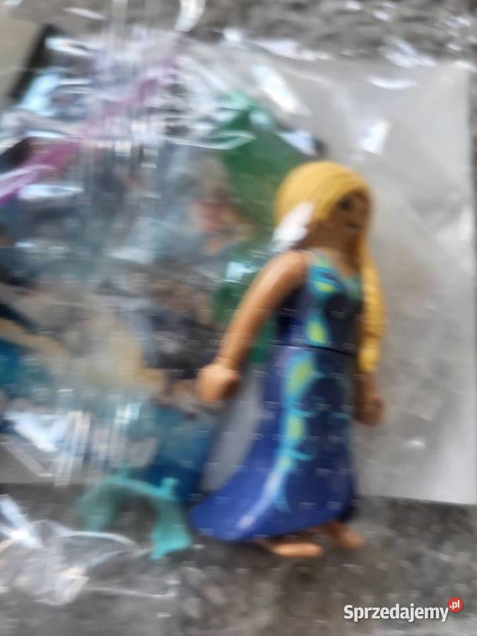Playmobil figurka plus akcesoria 1 Częstochowa