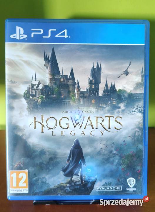 Hogwarts legacy 4 wielkopolskie Szreniawa