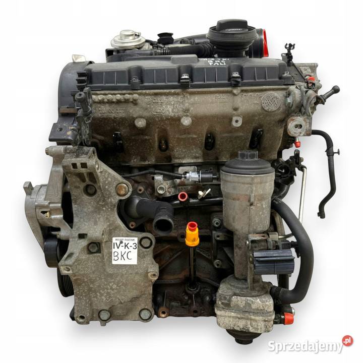 SILNIK BKC Audi A3 II 8P Skoda Octavia VW Golf V sprzedam