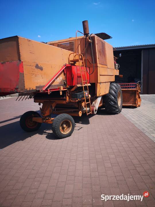 Sprzedam Bizona zo56 Łowicz